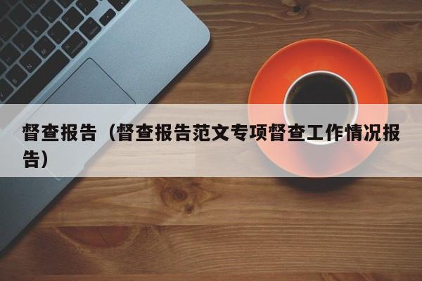 督查报告（督查报告范文专项督查工作情况报告）